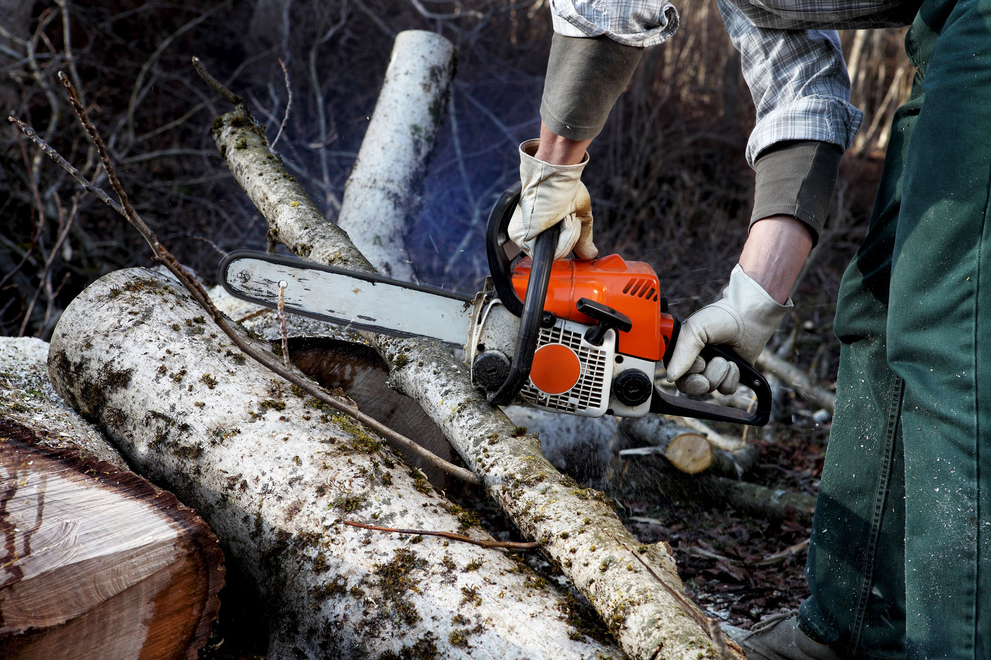 Chainsaw Operator Course - Melbourne Polytechnic