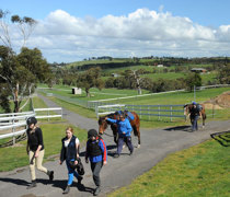 Melbourne Polytechnic student with their equine subjects at Northern Lodge