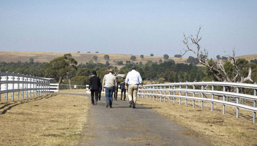 Group of people strolling on a path through paddocks with white fences