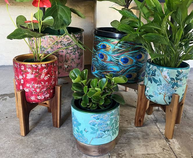 Colourful Antonelli Designs Pots with plants in them