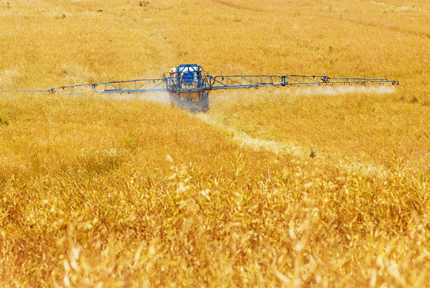 A tractor boom sprayer drives through a crop of wheat