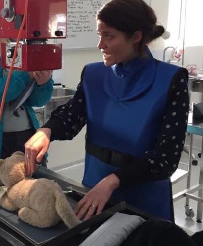 Bridget Naughton, wearing personal protective equipment (PPE), demonstrates medical procedures on a plushie animal to educate students.